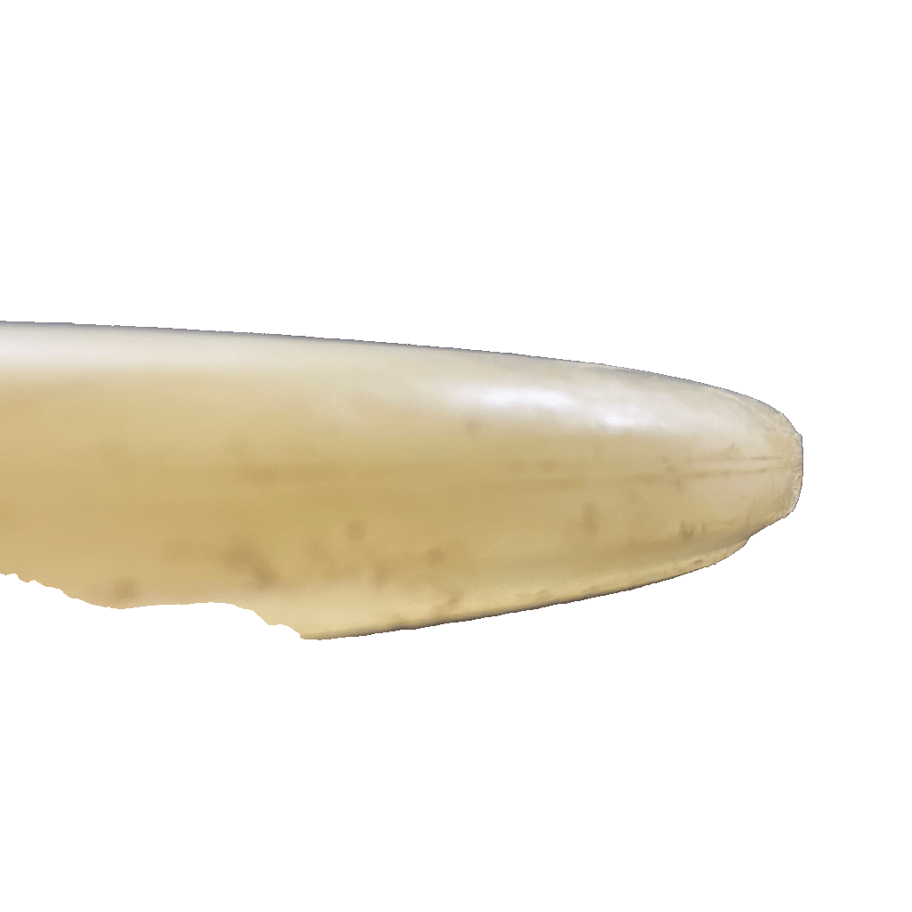 Prodigy 400 Glow PA3