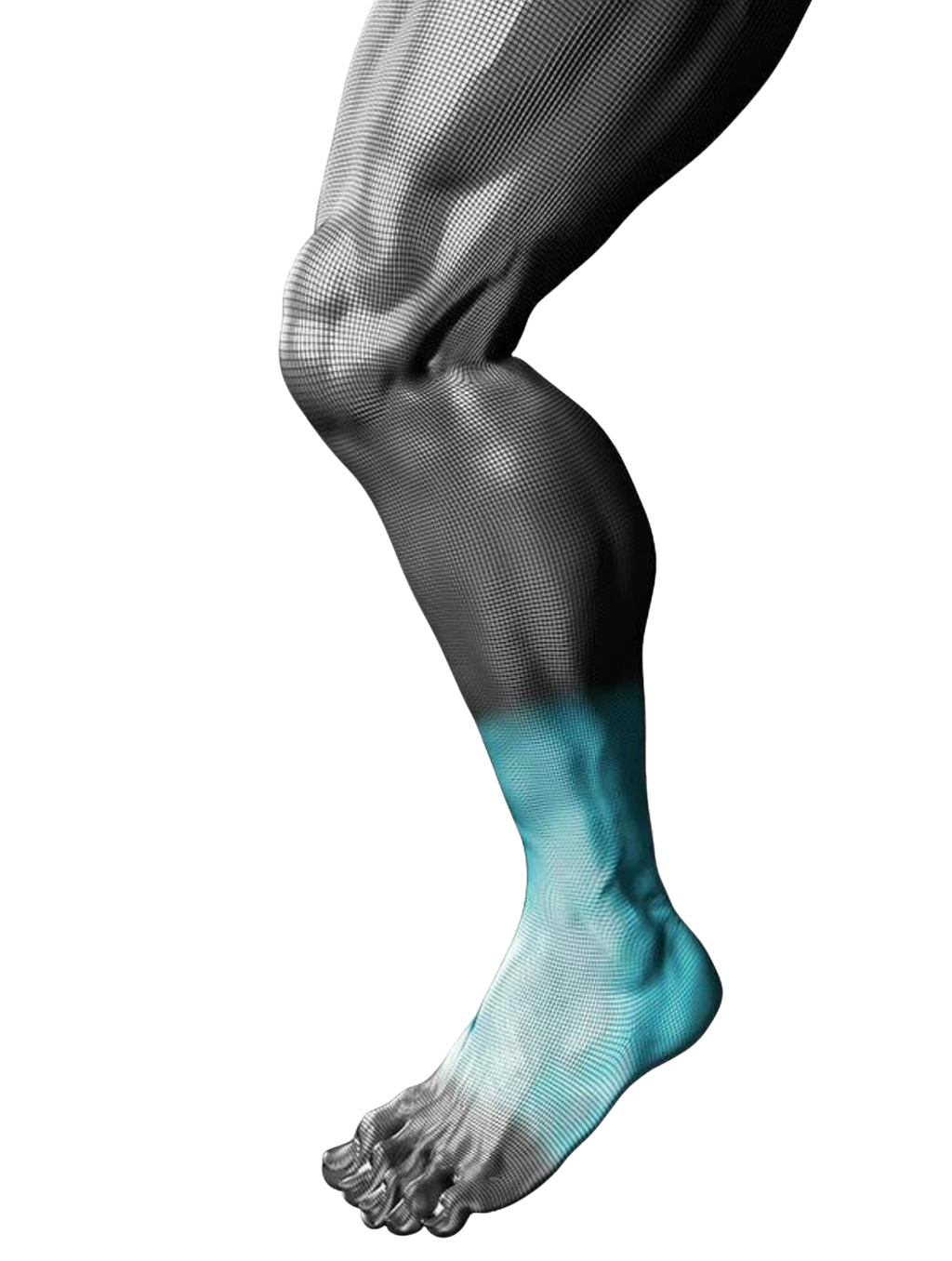 Extend High – Compression Ankle Support