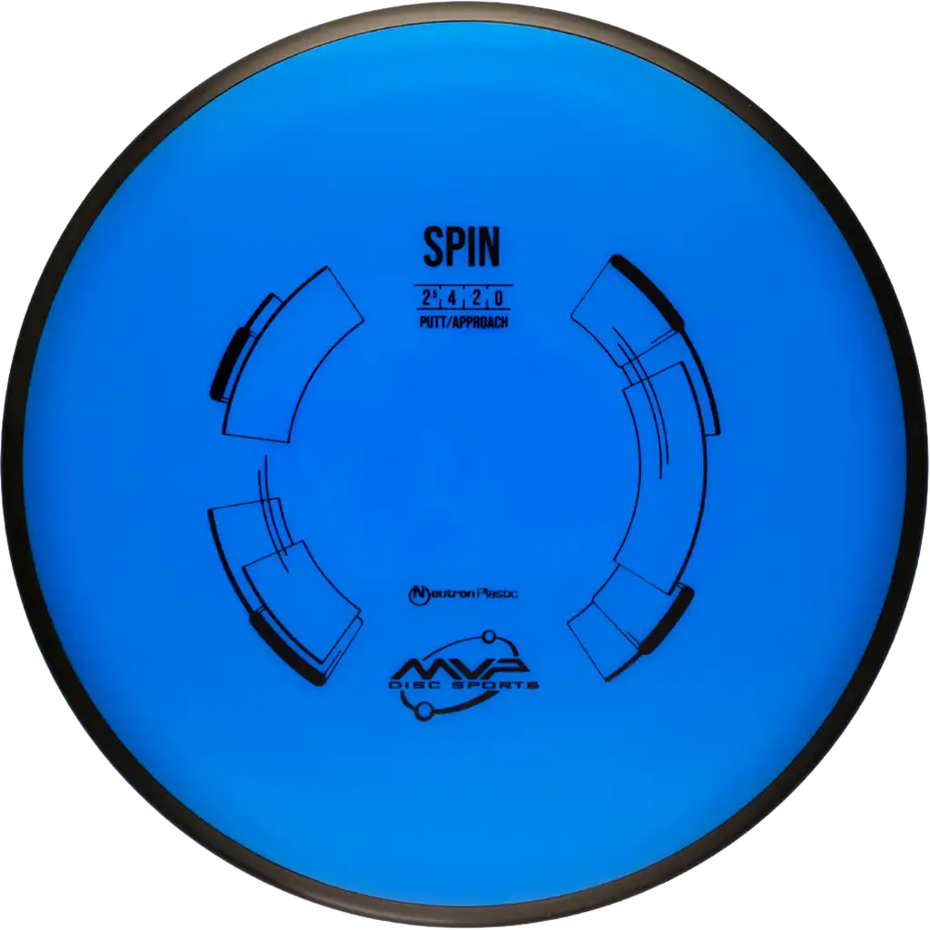 Neutron Spin