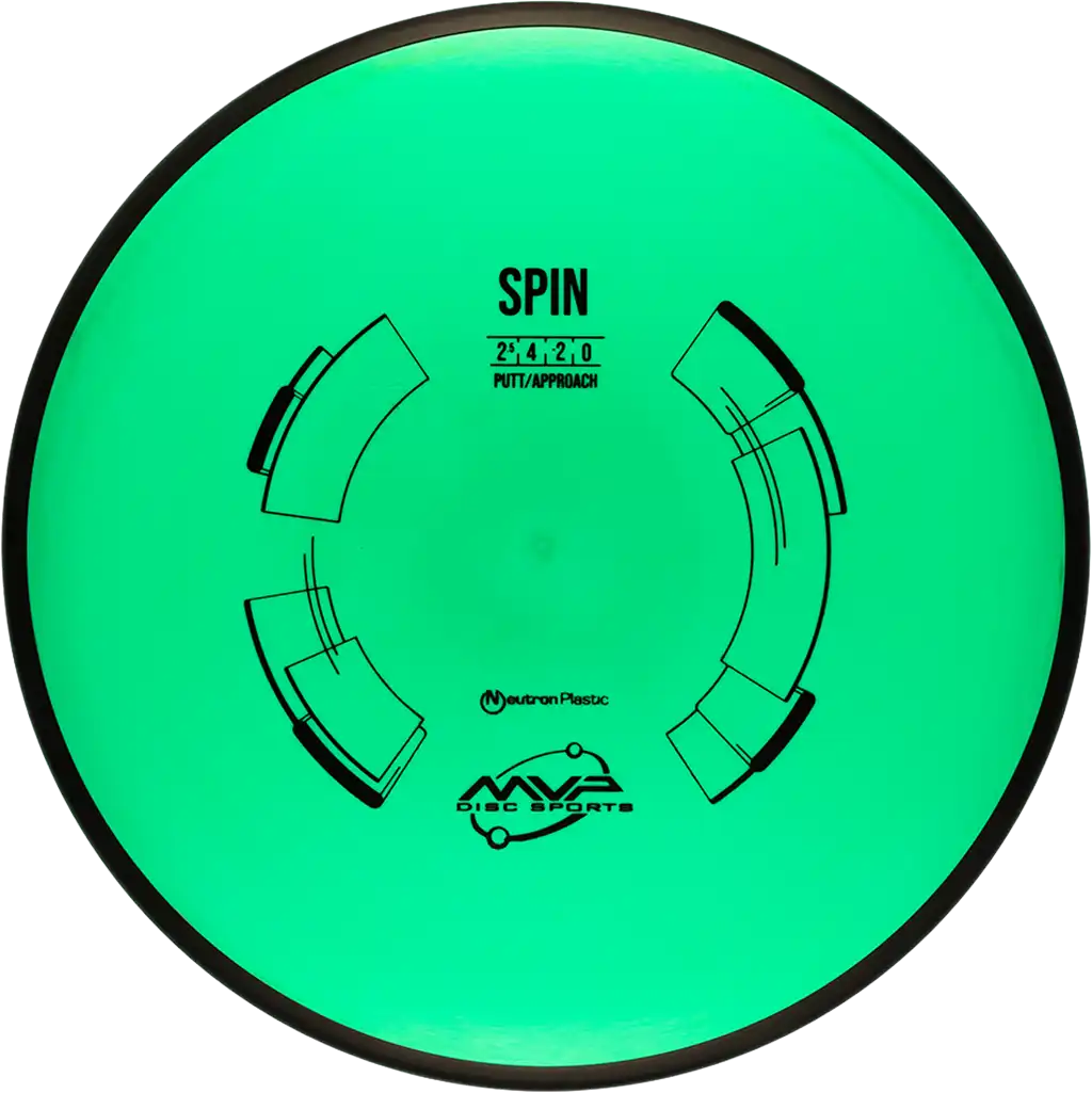 Neutron Spin