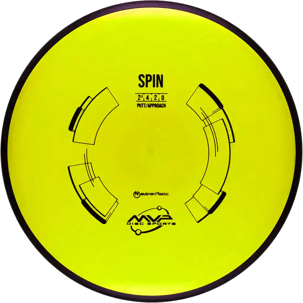 Neutron Spin