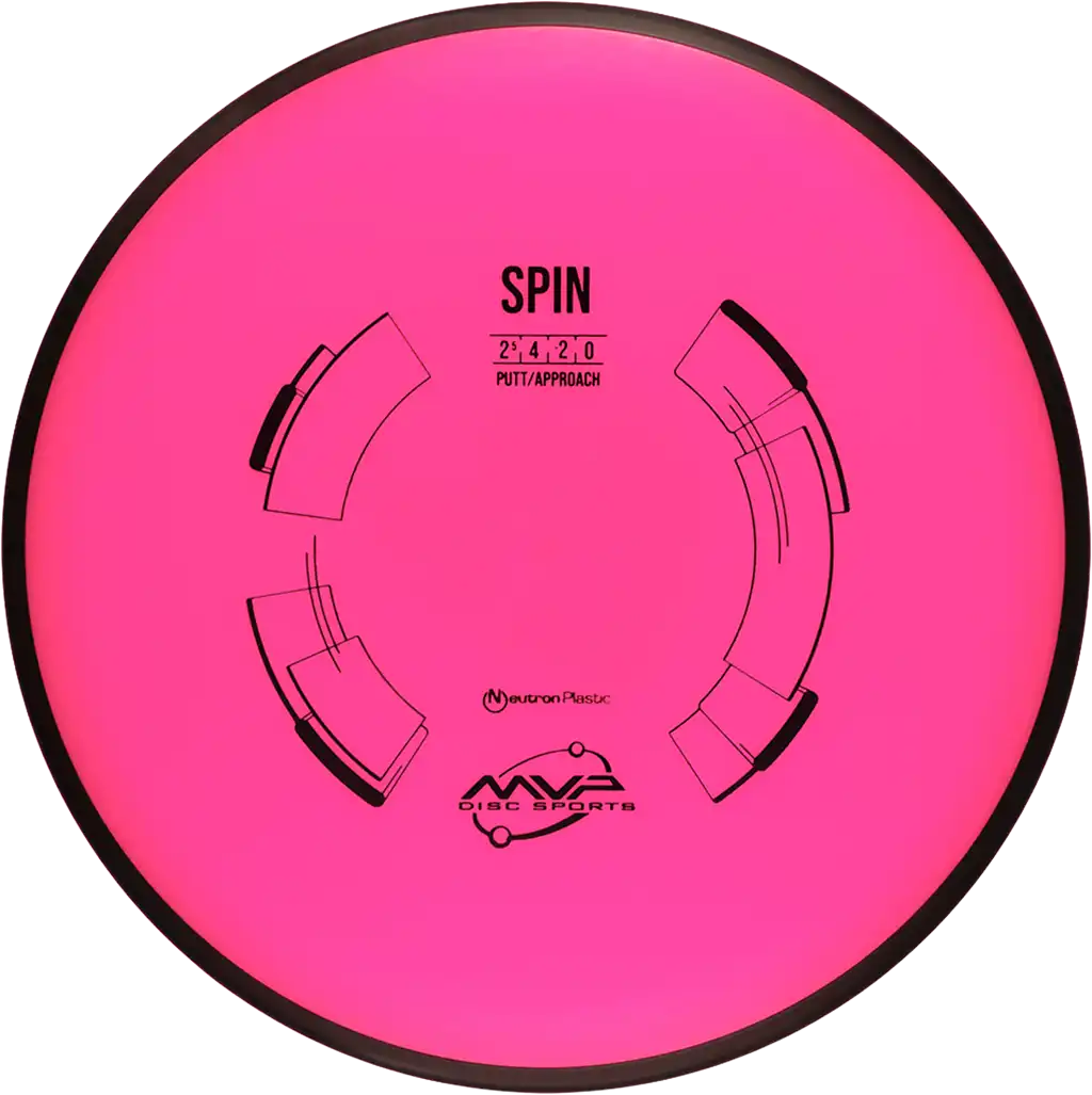 Neutron Spin