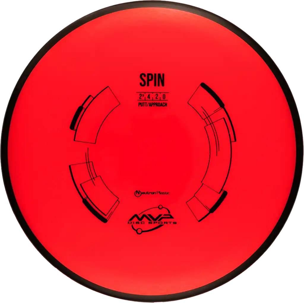 Neutron Spin