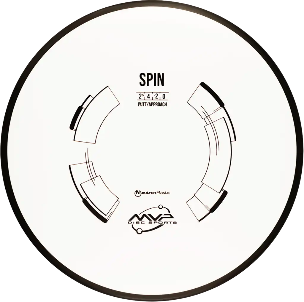 Neutron Spin