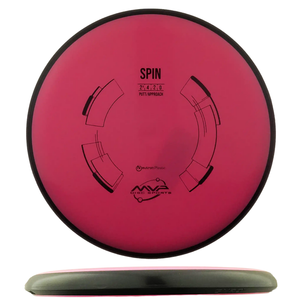 Neutron Spin