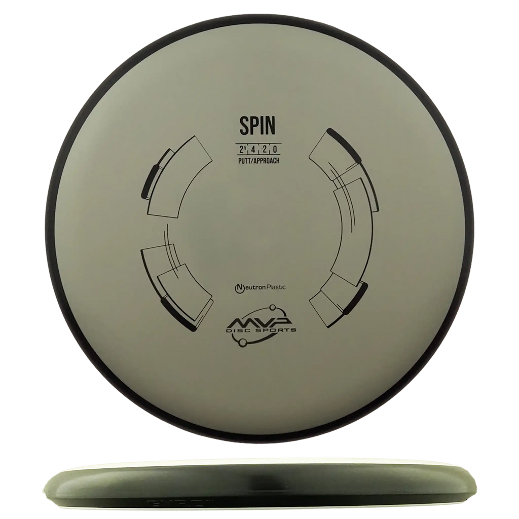 Neutron Spin