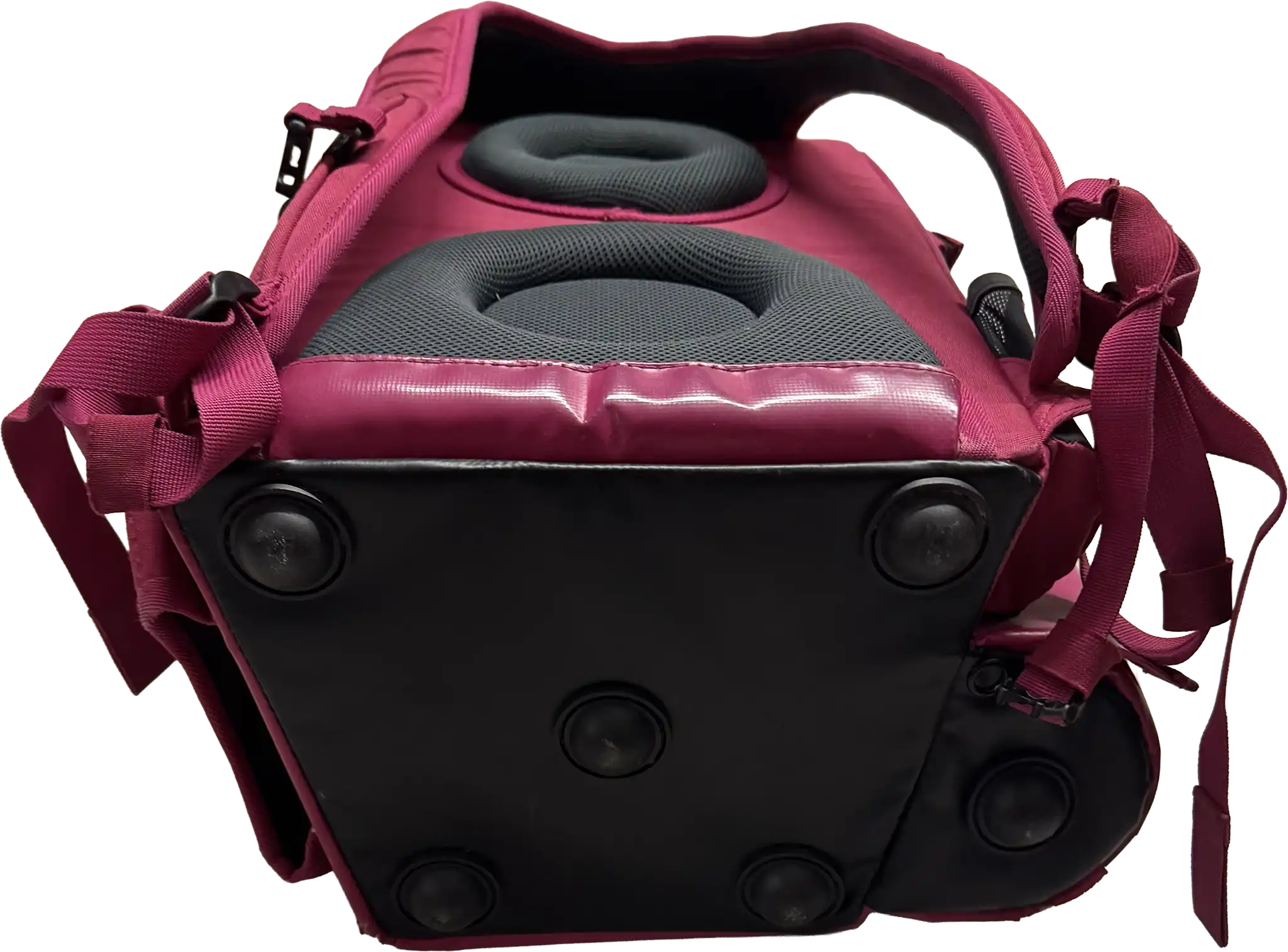 Halti Backpack