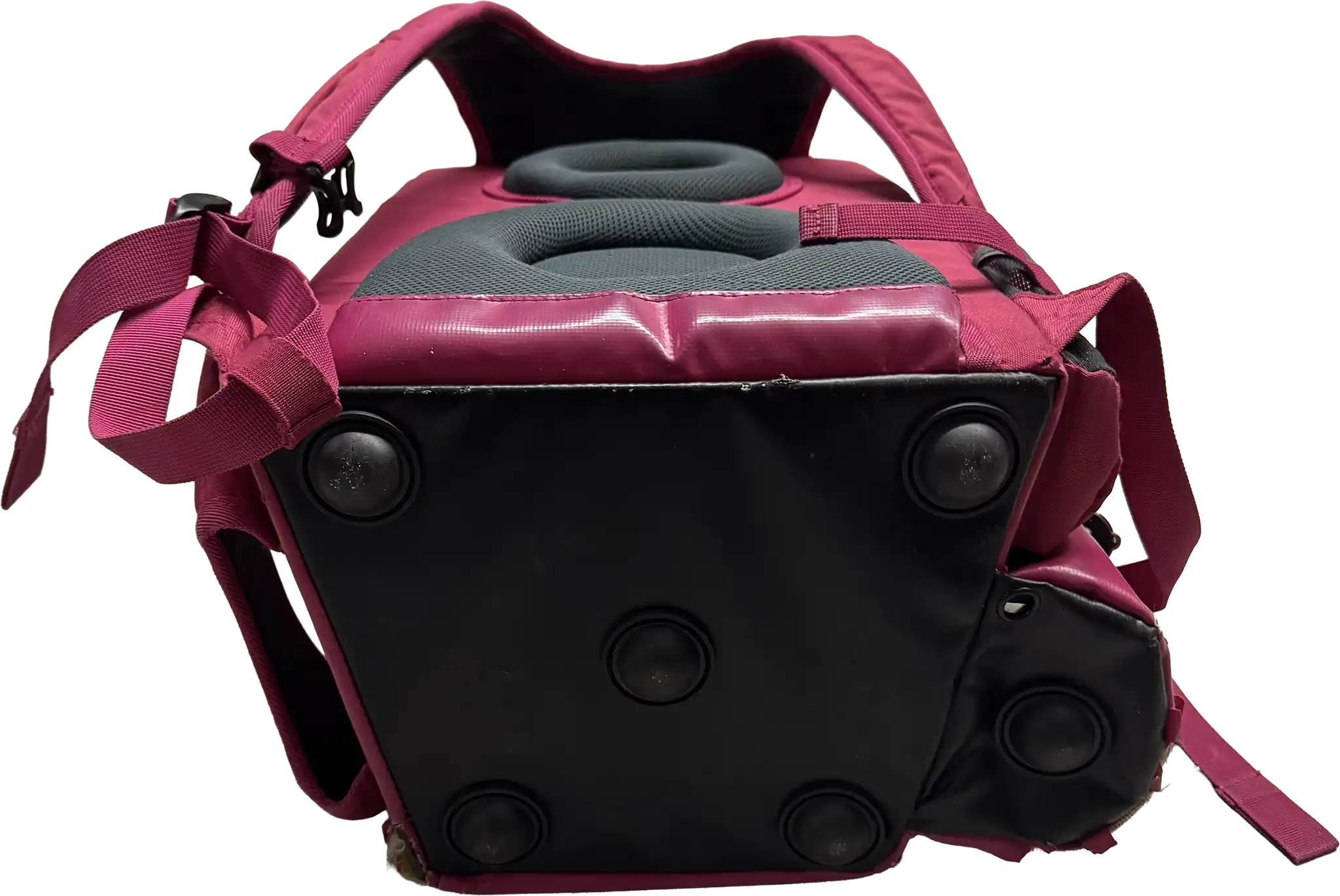 Halti Backpack