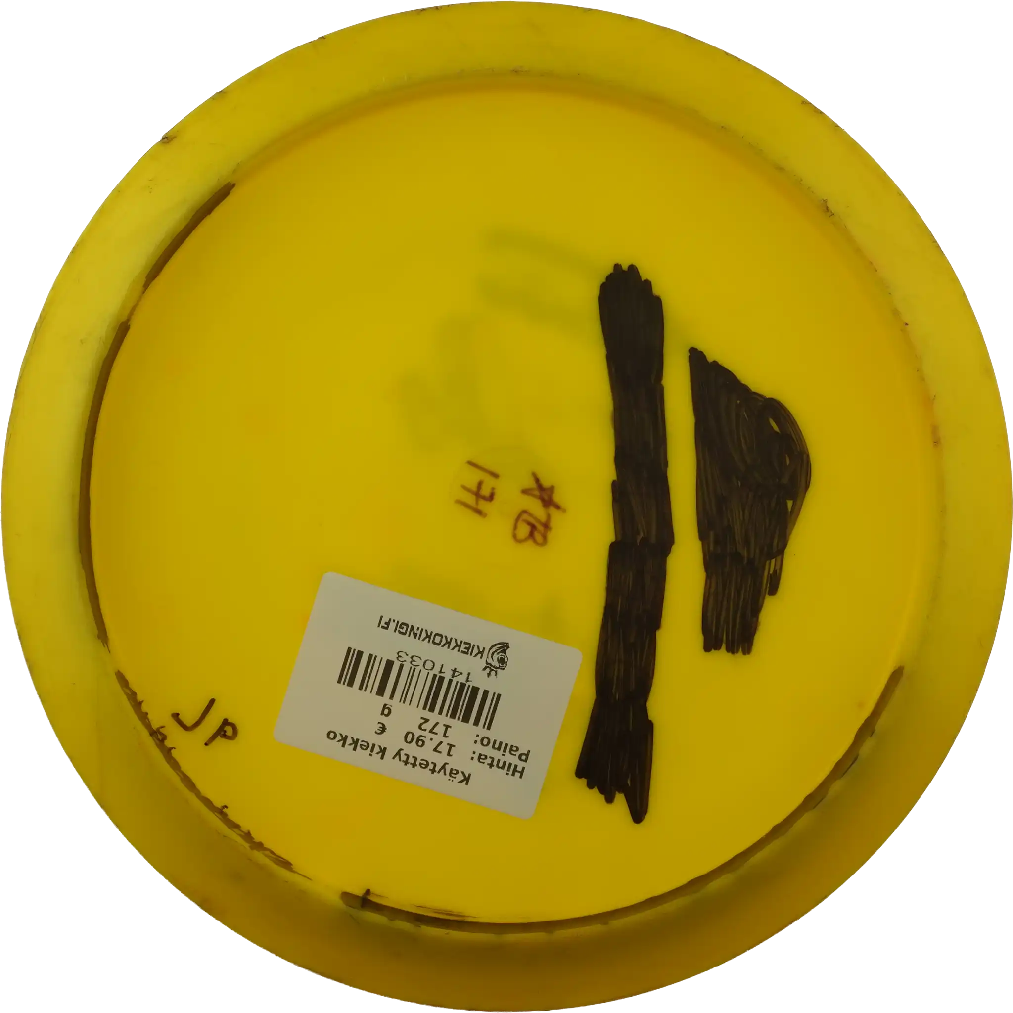 Star Teebird - Avery Jenkins