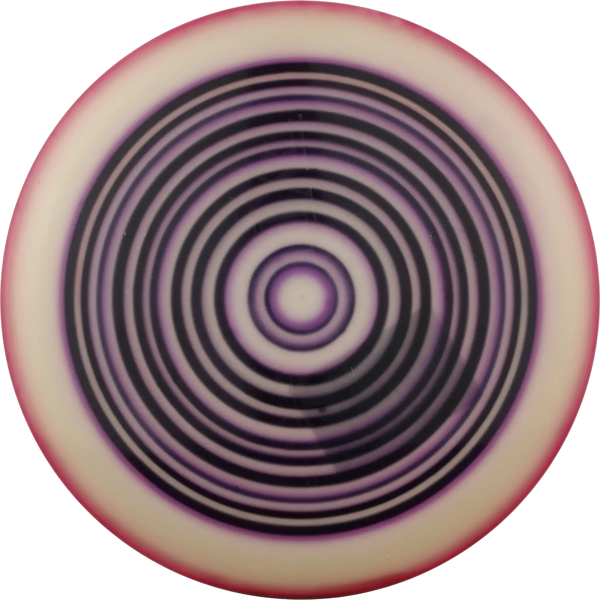 Opto Explorer - Ricky Wysocki