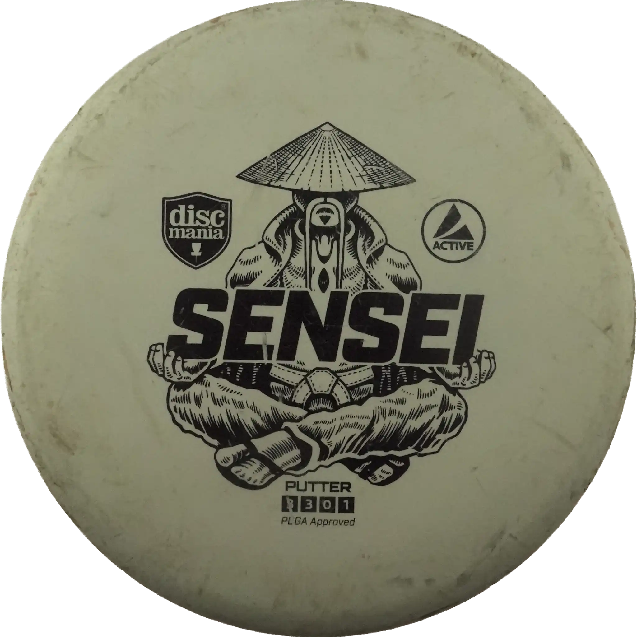 Active Sensei