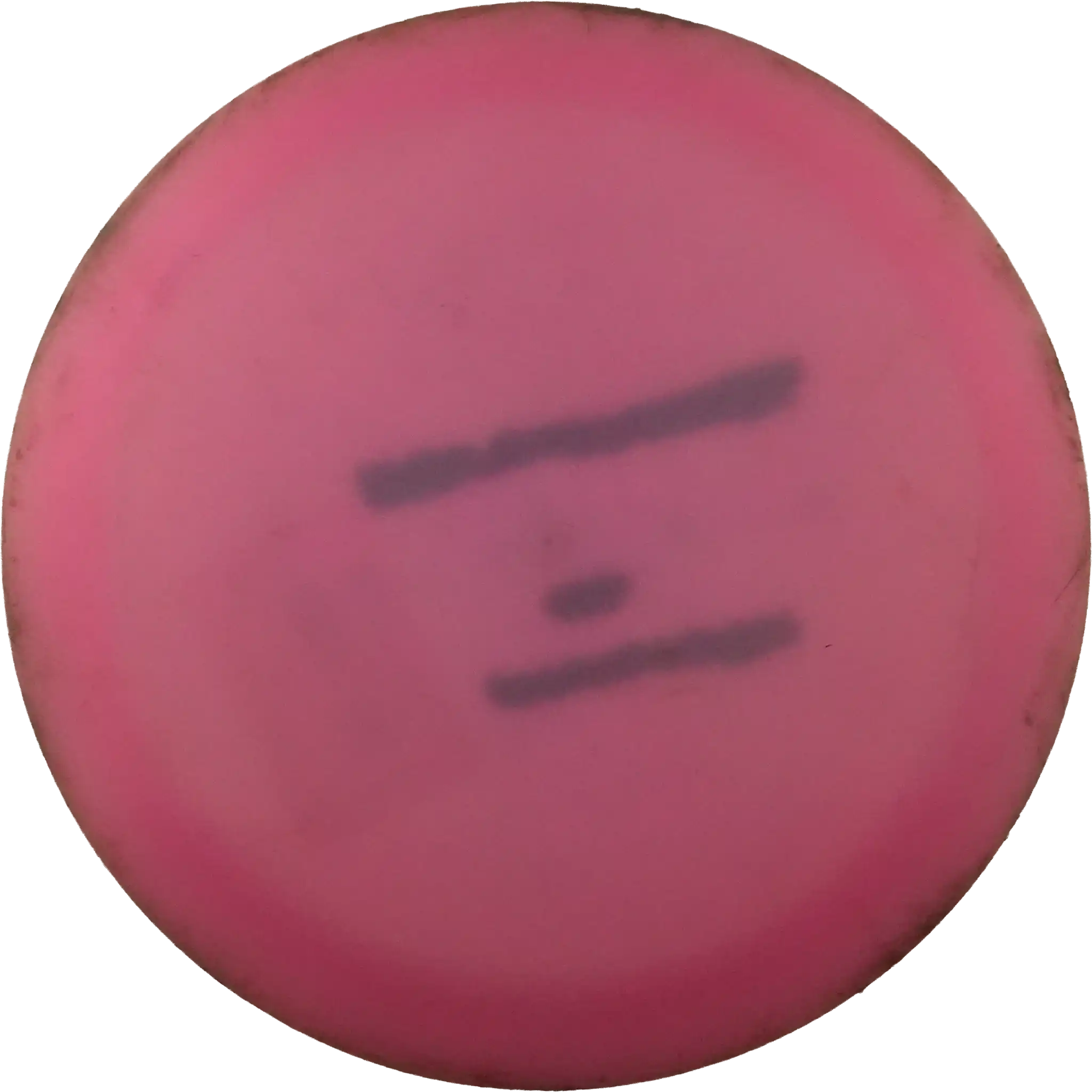 Neo Enigma