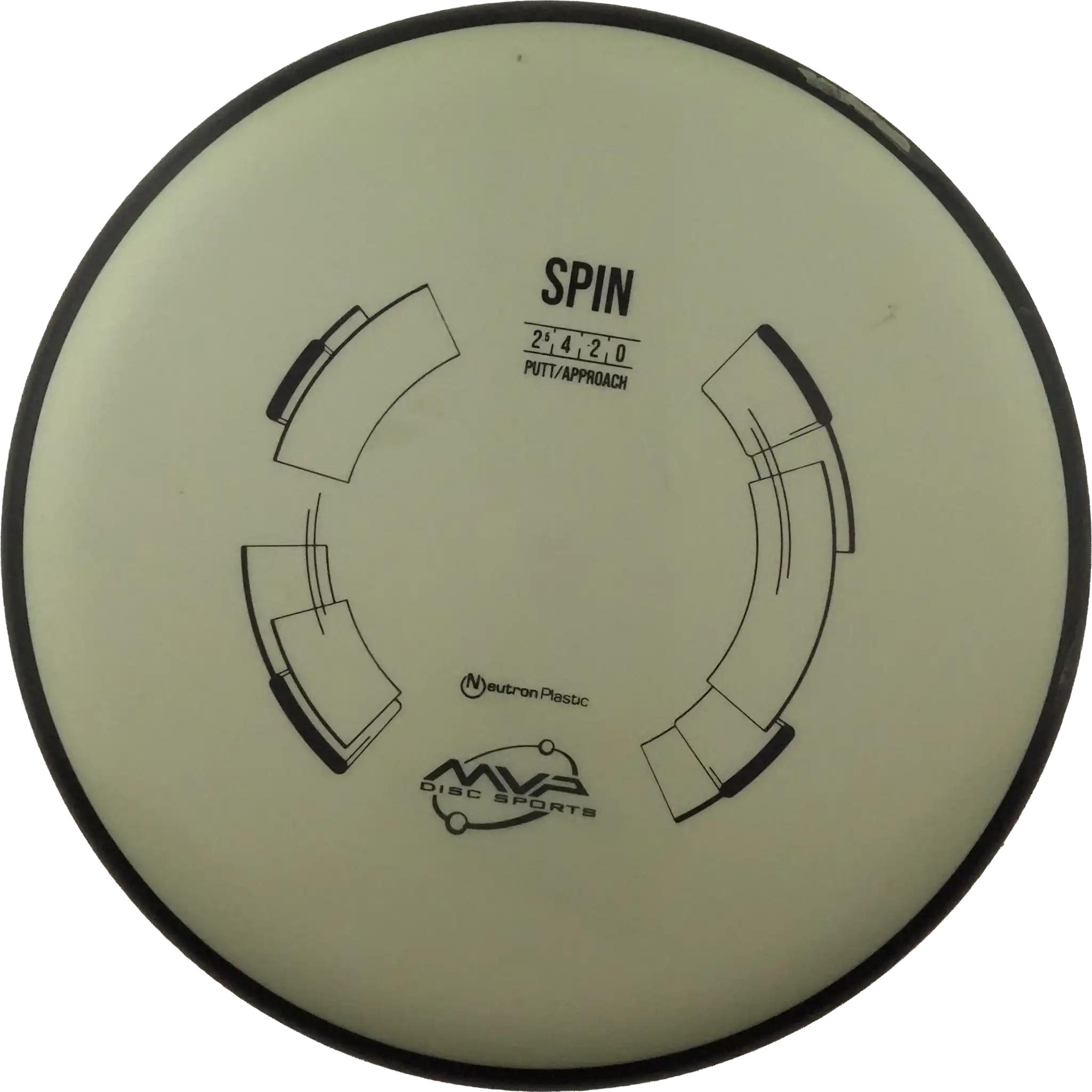Neutron Spin