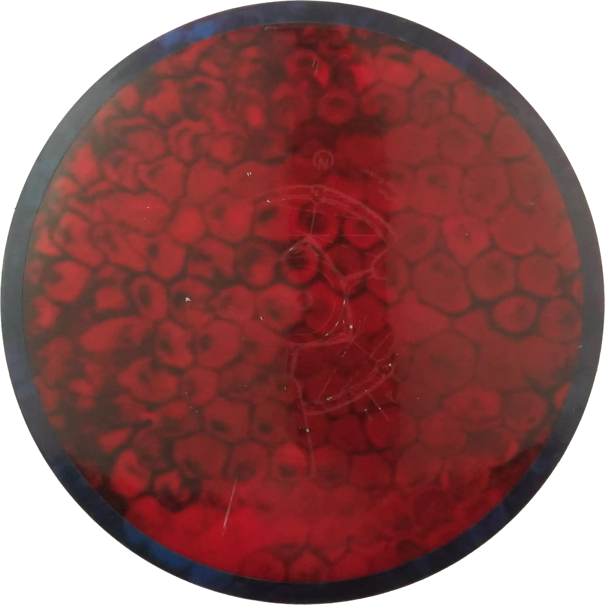 Neutron Rhythm - Dyed
