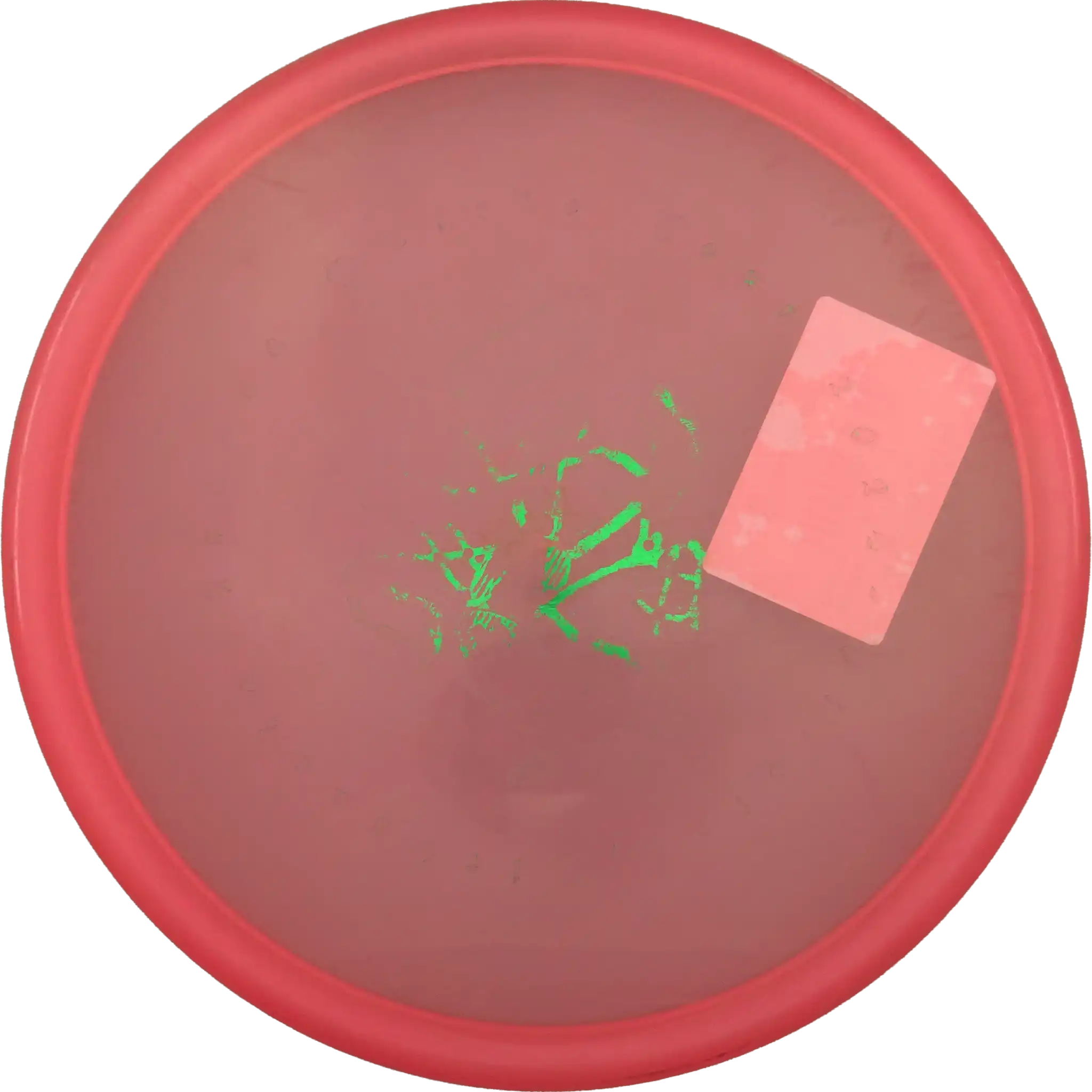 Gummy Champion Toro