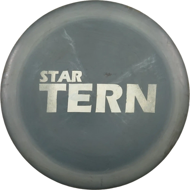 Star Tern
