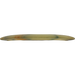 Champion Tern