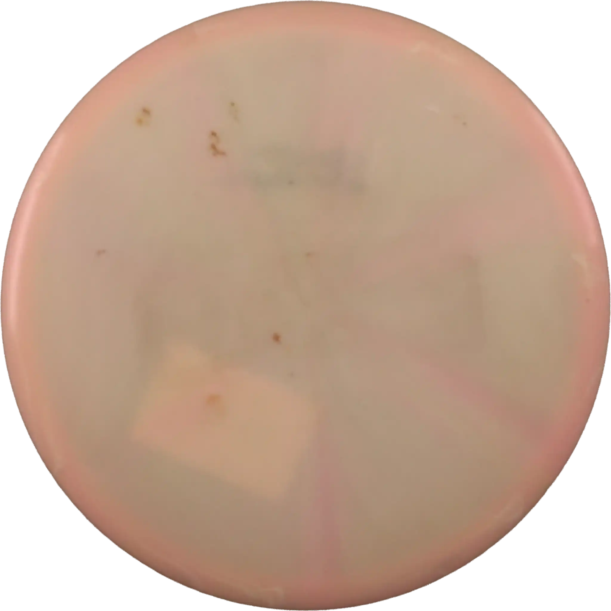 Z Swirl Buzzz - Paige Pierce