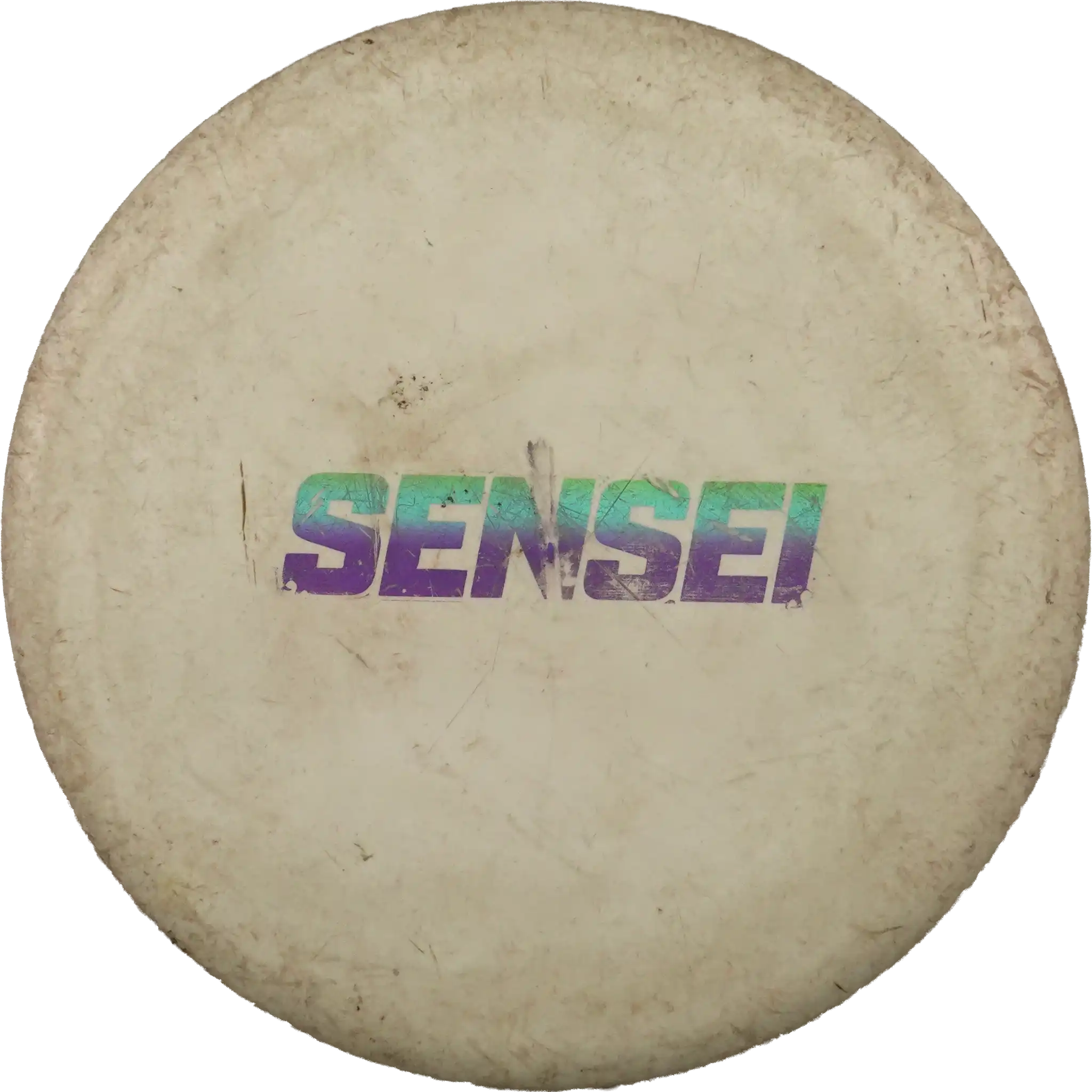Active Soft Sensei