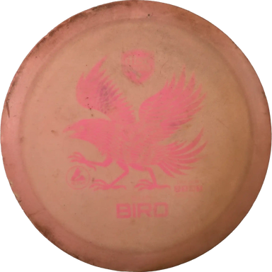 Active Sun Bird