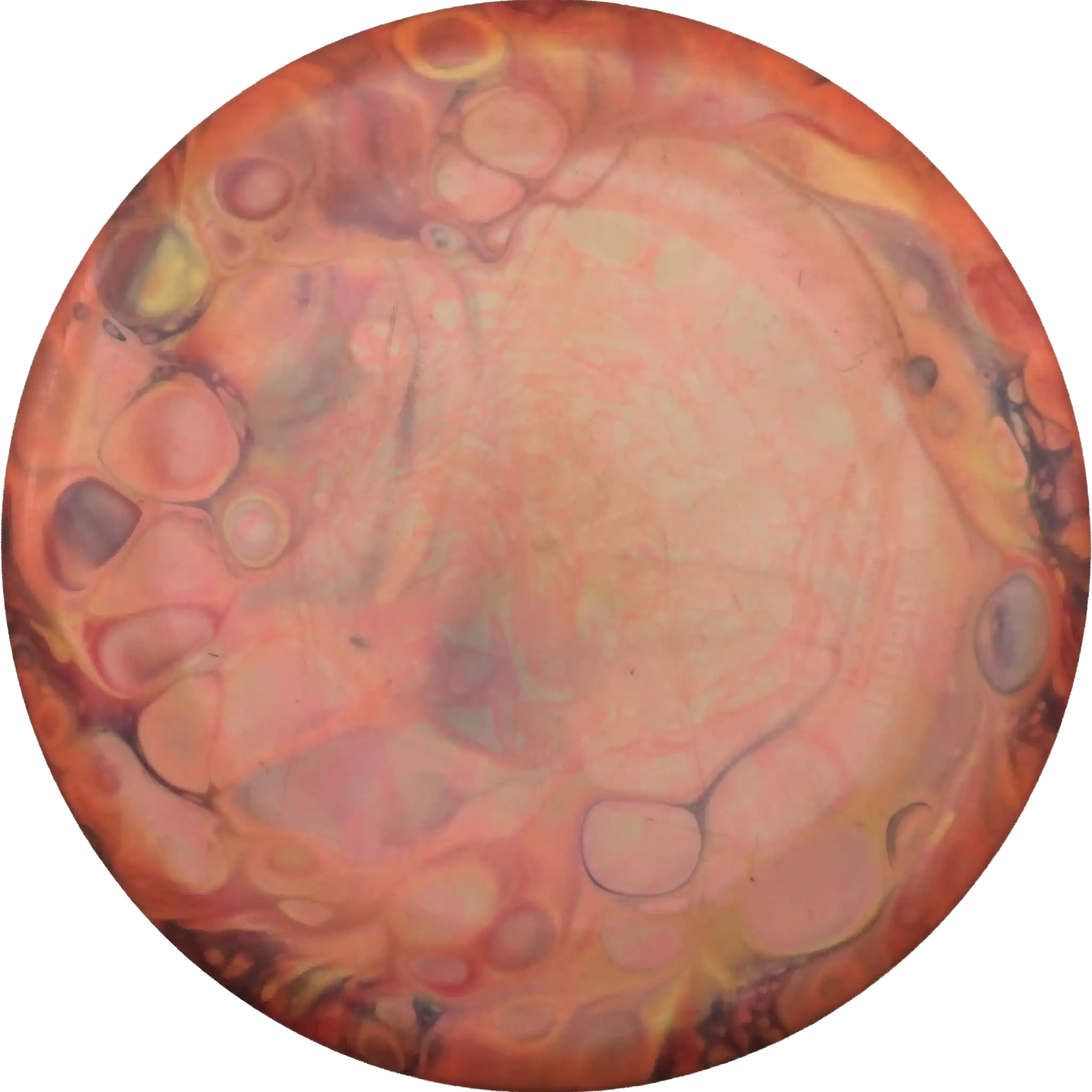 ESP Buzzz - Paul McBeth - 5x World Champion - Dyed