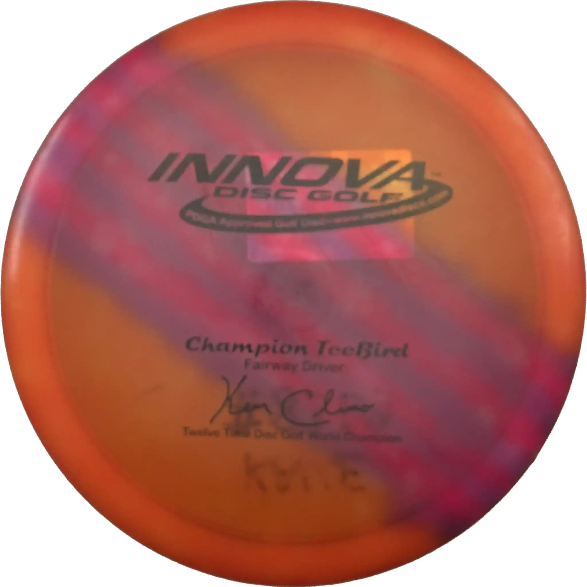 Champion Teebird - Dyed - PFN