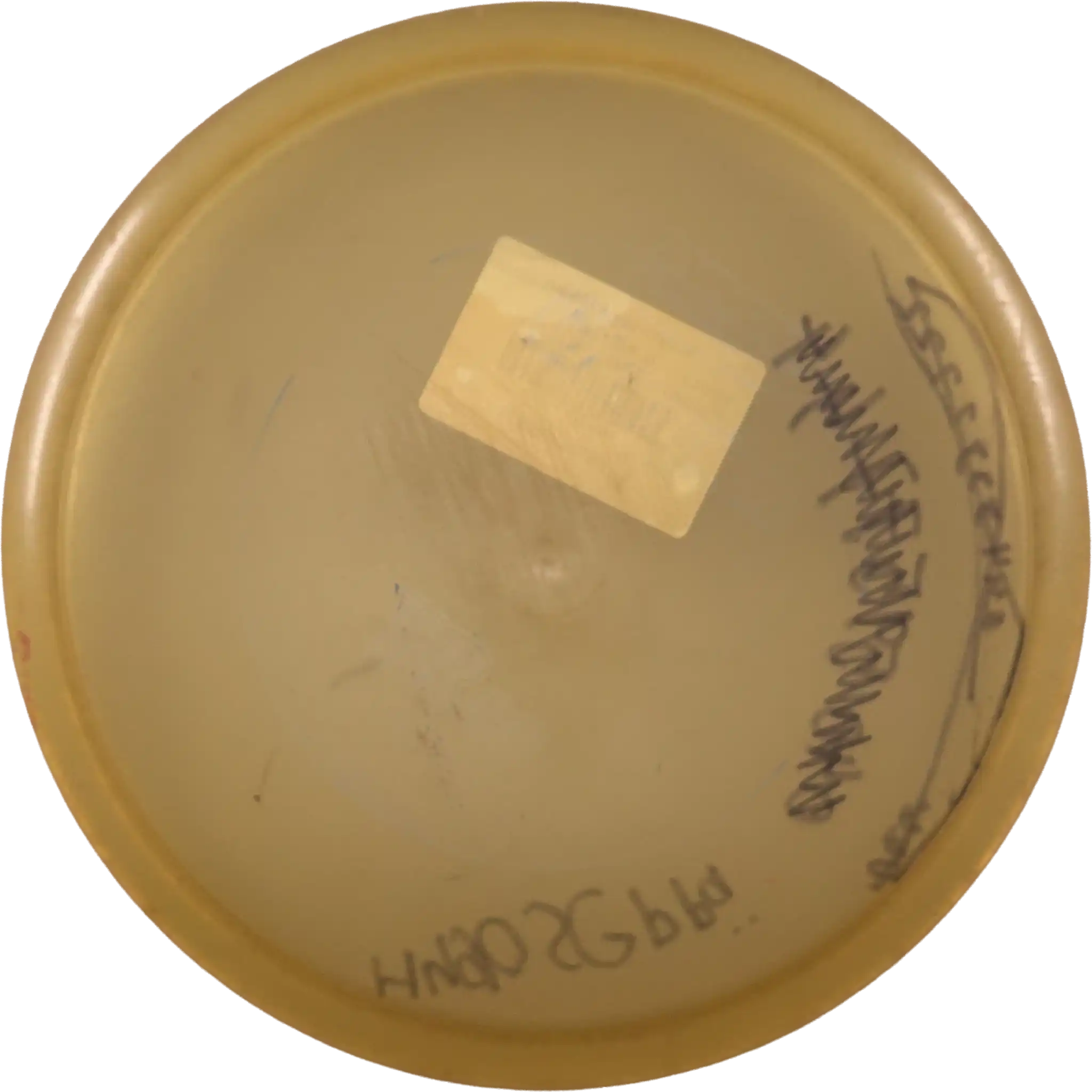 Champion VRoc3