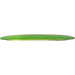 Champion Tern