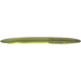 Champion Tern