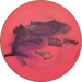 Star Leopard