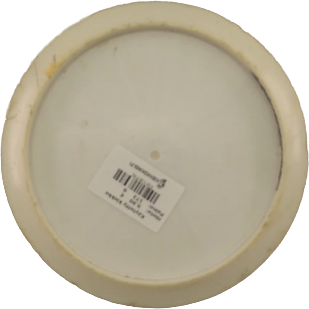 Opto Pioneer