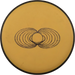 Electron Spin
