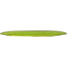 Champion Tern