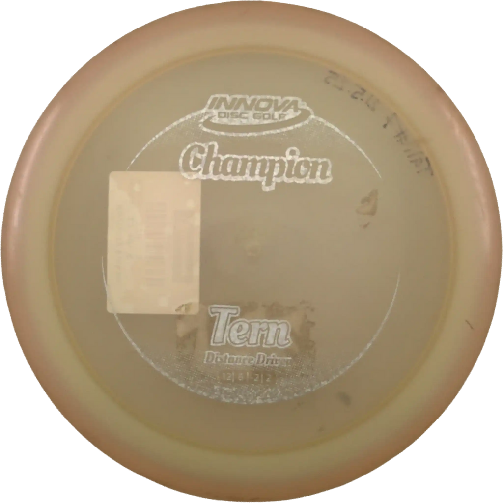 Champion Tern