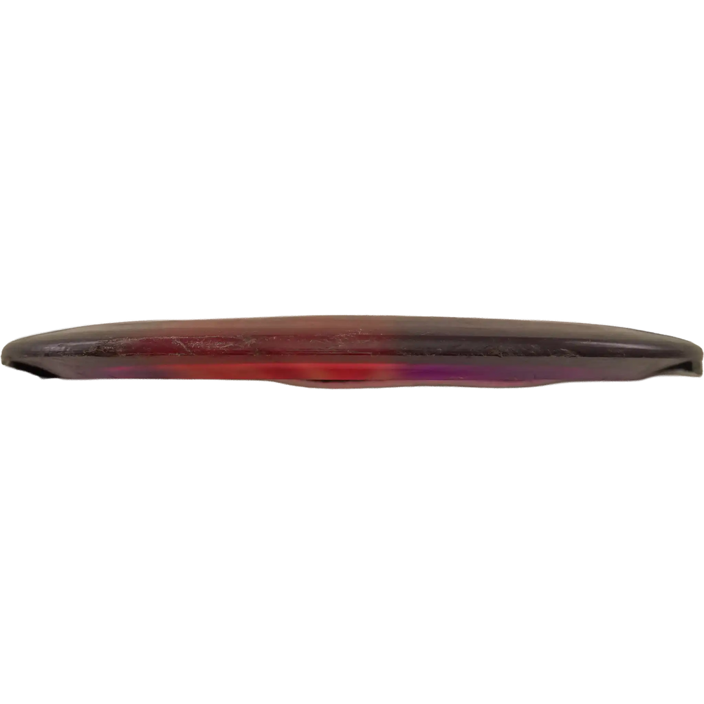 Champion Thunderbird - Innova Store