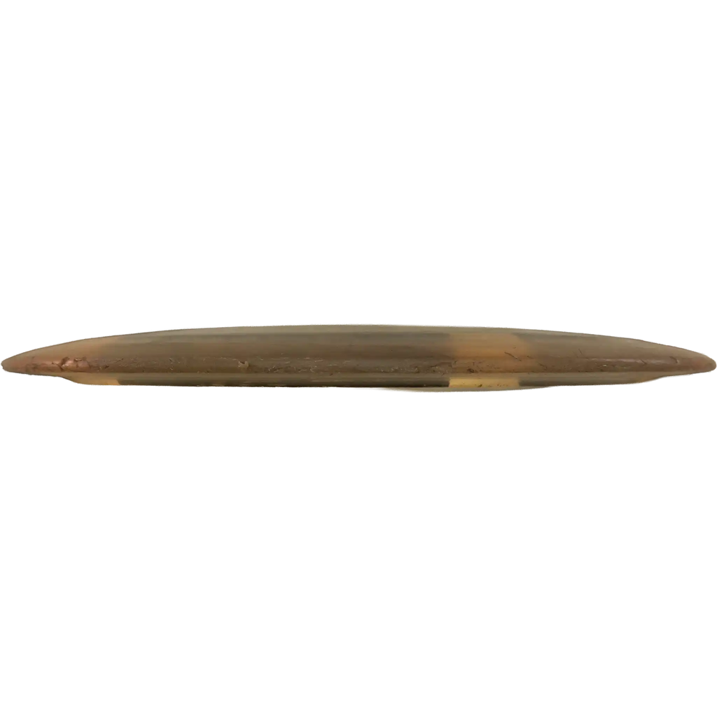 Champion Tern