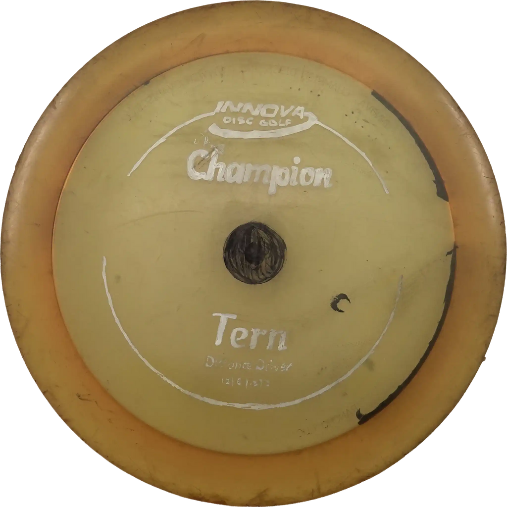 Champion Tern