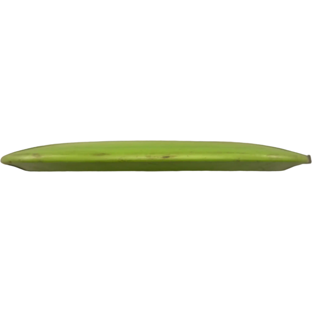 GStar Teebird
