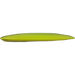 Champion Tern