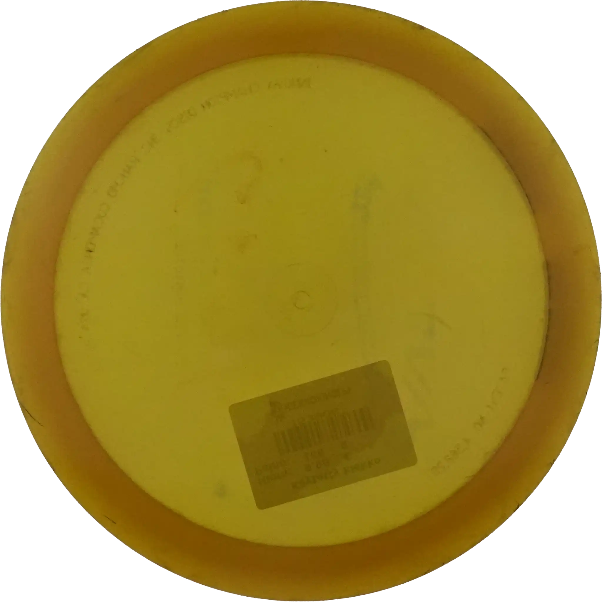 Champion Viking - PFN